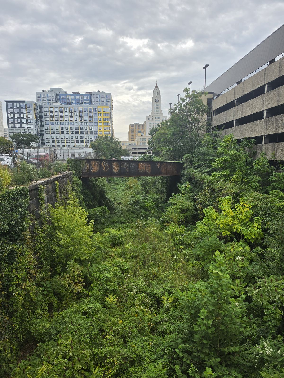 The cut seen from the bridge: a ravine walled in green, a rusted iron bridge crossing it, the city rising behind.