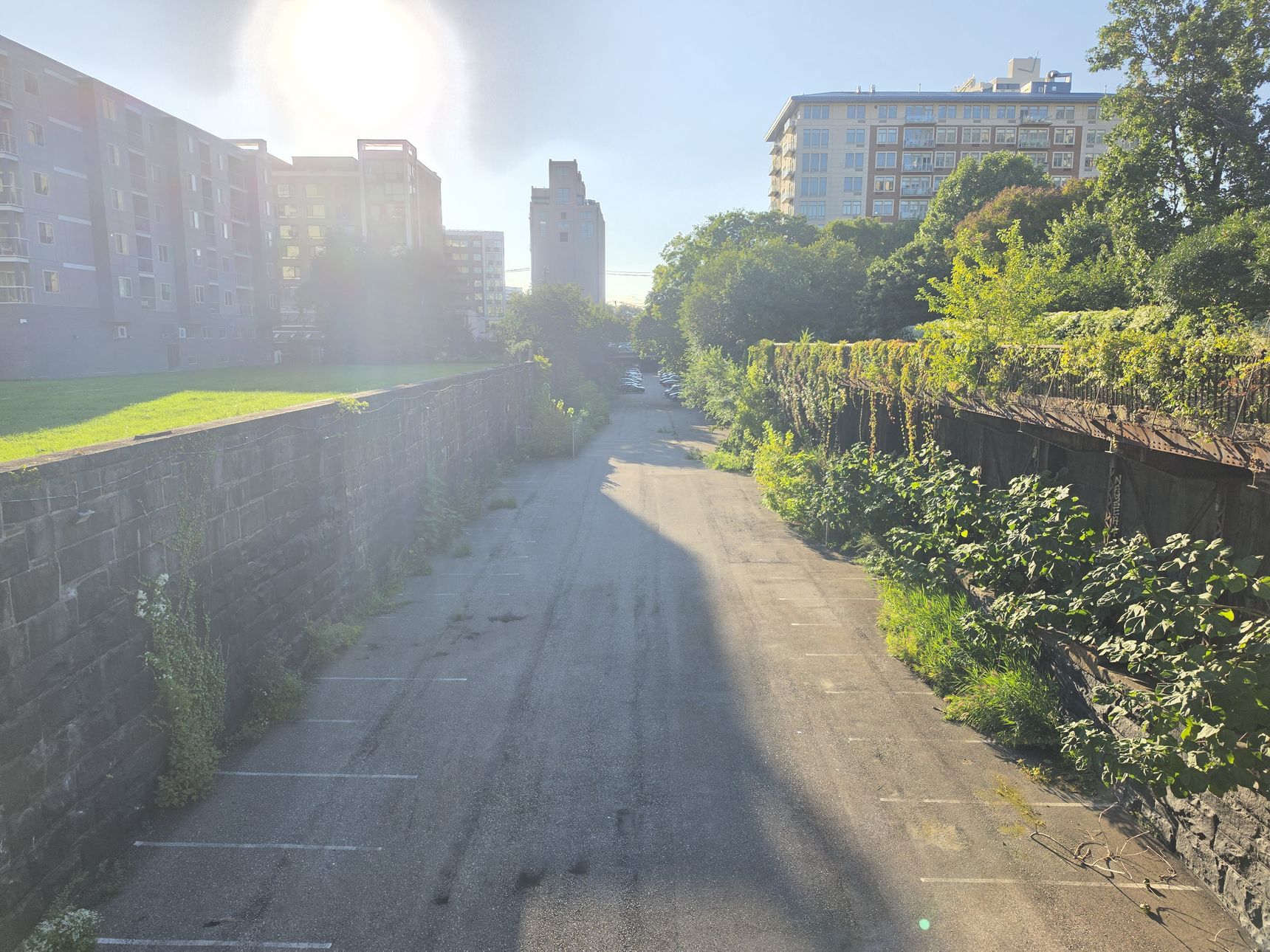The floor of the cut in low sun: an empty parking lot between two old stone walls, vines spilling down one side.